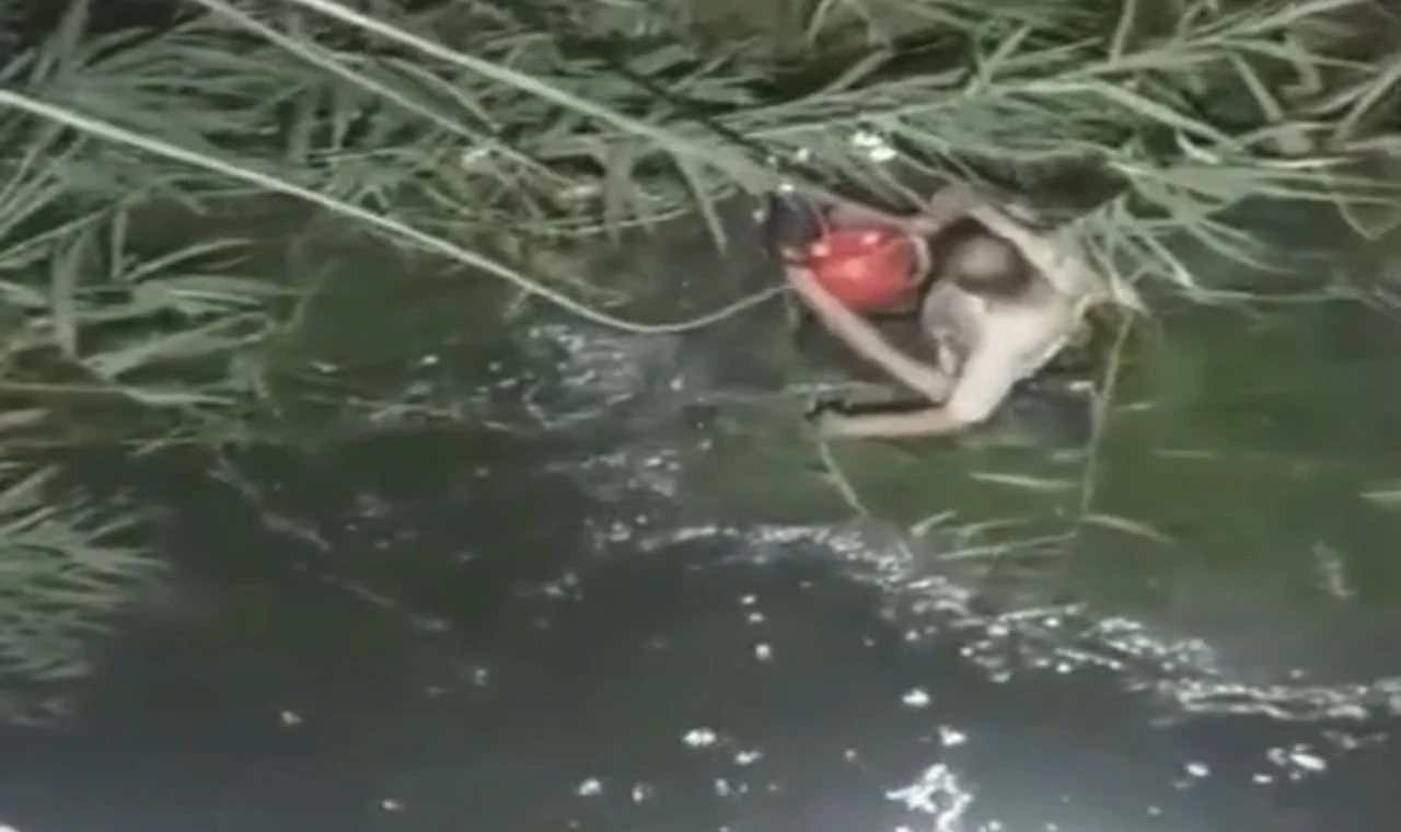 Nazilli’de Köprüden Akçay Nehri’ne Atlayan Şahıs İtfaiye Tarafından Kurtarıldı