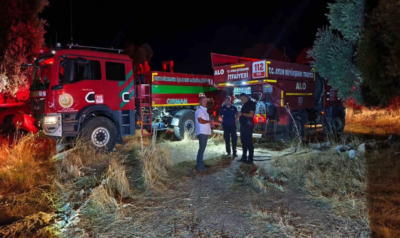 Sultanhisar’da Zeytinlik Alanda Çıkan Yangın Söndürüldü