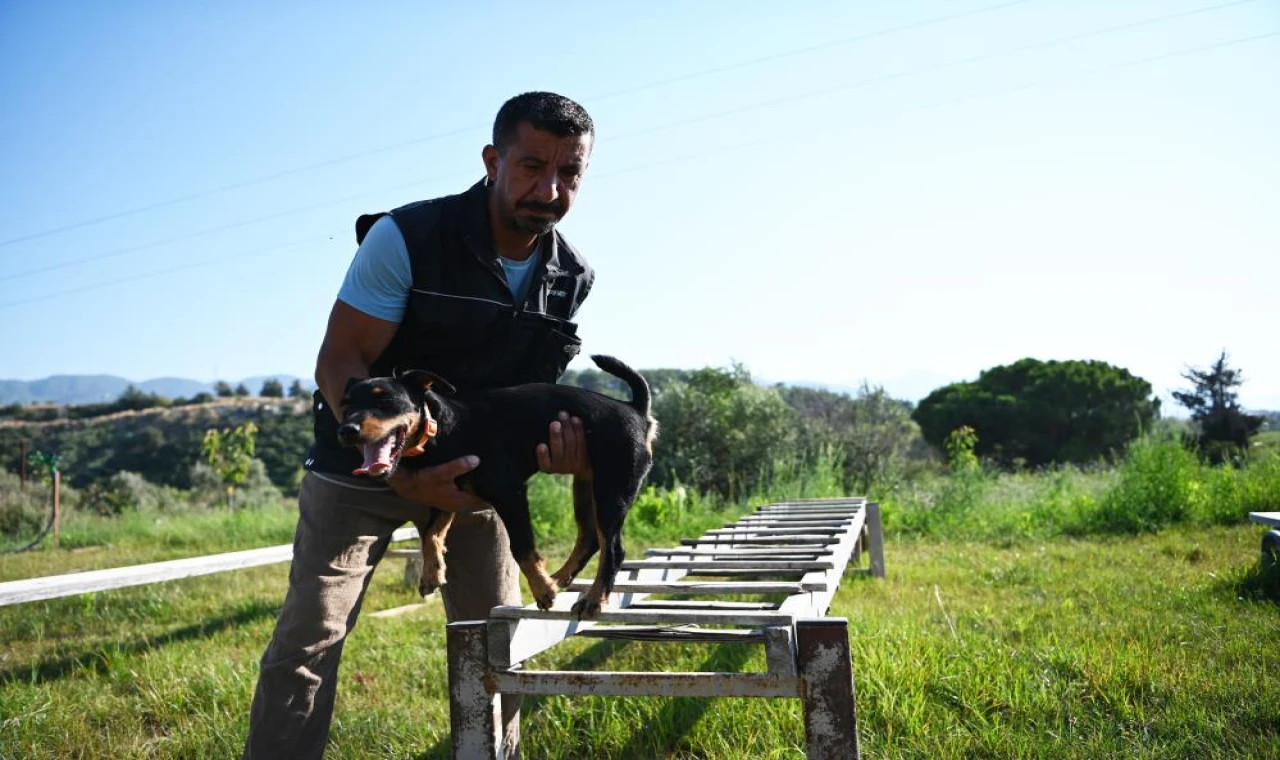 Yetiştirdiği kurtarma köpekleriyle doğal afetlerde birçok hayat kurtardı