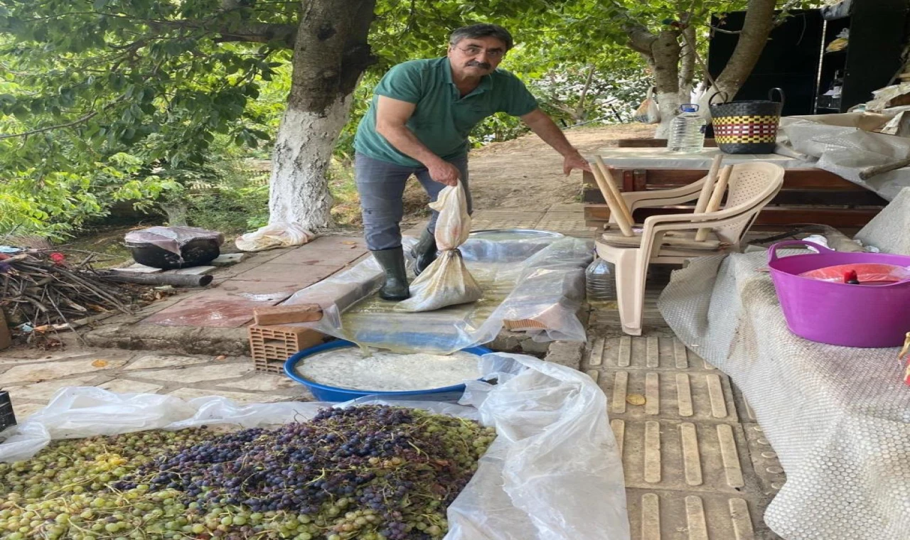 Aydın’da üzümler pekmeze dönüştürülmeye başlandı