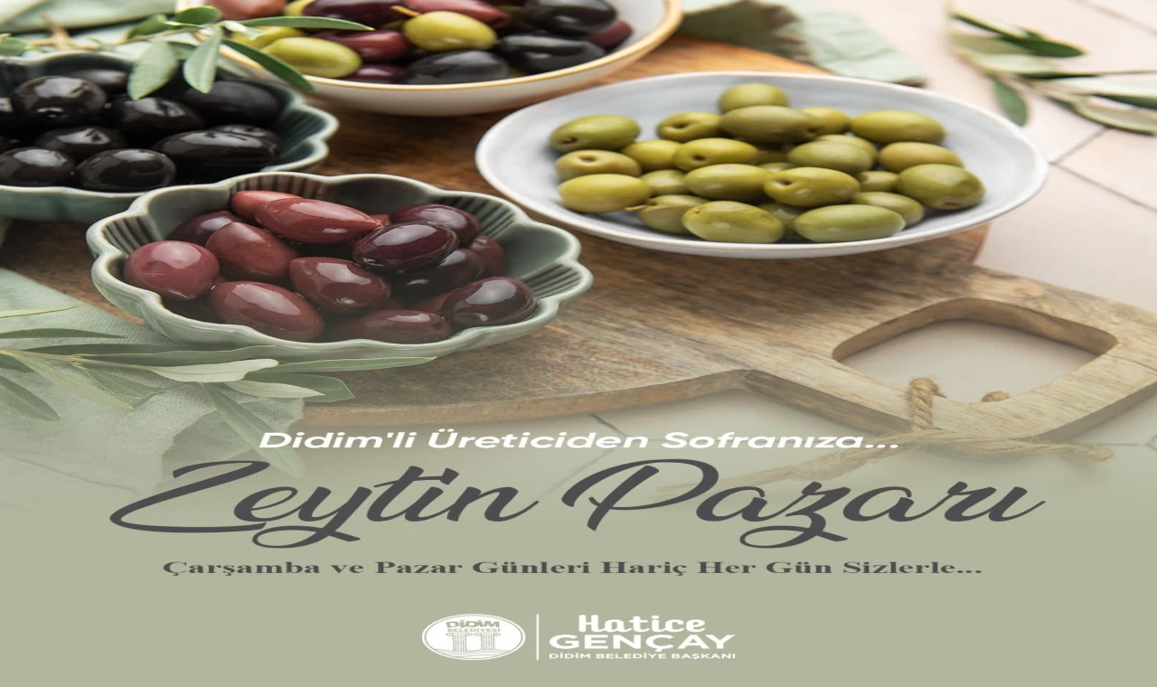 Zeytin üreticileri için satış alanı oluşturulacak