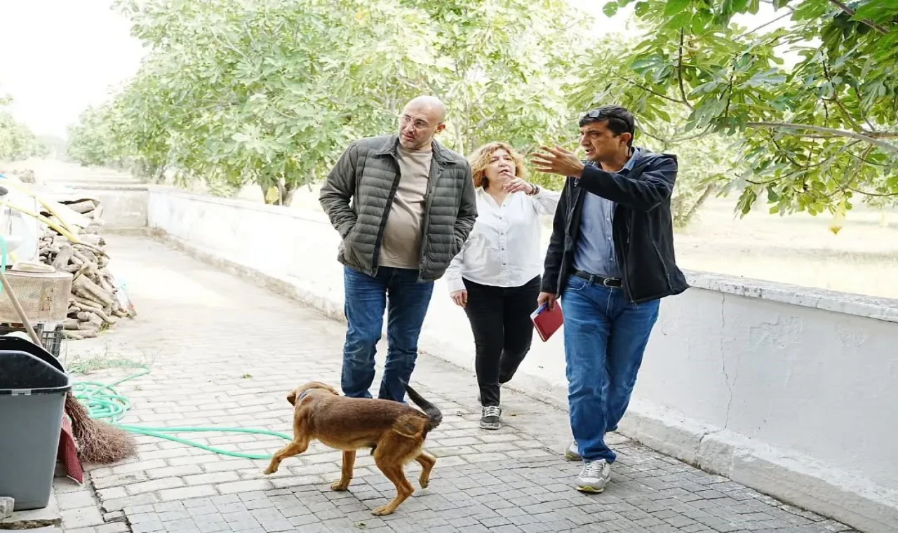 Başkan Zencirci, Tekin Mahallesi'nde yapılacak çalışmaları değerlendirdi