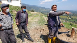    Bozdoğan’da kesilen zeytin ağaçları için vatandaşlar tepkili  