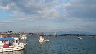      Didim’de deniz patlıcanı avcılığı sona erdi   