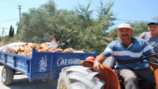   Her Yıl 18,8 Milyon Ton Gıda Çöpe Gidiyor  