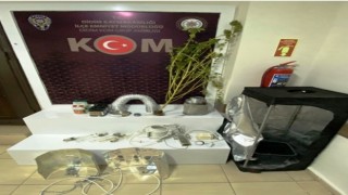 Didim'de Bir Evde Hint Keneviri Ele Geçirildi