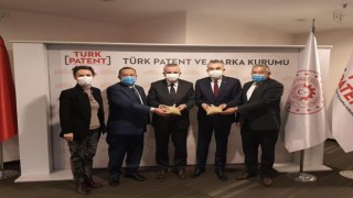 Aydın’ın Çam Fıstığı Dünyaya Açılıyor