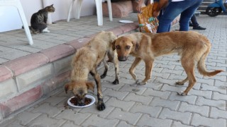 Bayram Öncesi Can Dostlar Unutulmadı