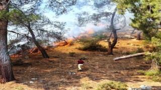 Kuyucak'ta Orman Yangını