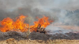 Nazilli'de İncir Ve Zeytin Bahçesi Yandı