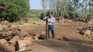 50 Yıldır Katran Yağı Çıkarıyor