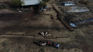 Kayıp Koyunları Drone Buldu