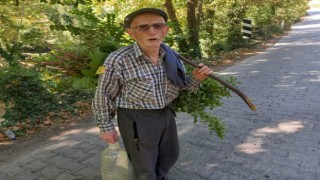 Raşit Dede En Güzel Sporu Yapıyor