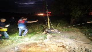 Su Kuyusuna Düşen İneği İtfaiye Kurtardı