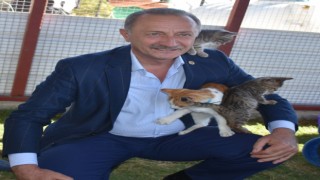 Başkan Atabay, sokak hayvanlarına yapılan kötü davranışa büyük tepki gösterdi