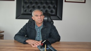 Söke Ovası’nın yarısı Buğdayla dolacak