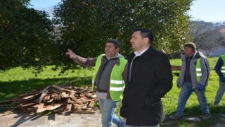 Yörük Ali Efe Müzesi'ne restorasyon