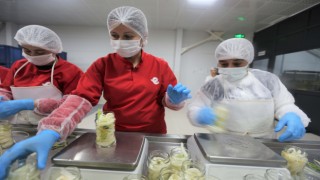 7 ton şevketibostan kadınların elinden geçti