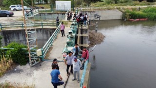 56 yaşındaki kadın, nehirde aranıyor