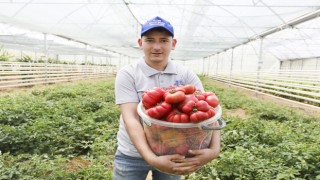 Aydın Büyükşehir Belediyesi Ata Tohumlardan Üretti Halkla Buluşturdu  