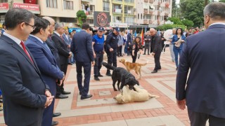 Protokolün sokak köpekleriyle imtihanı