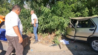 Bozdoğan’da trafik kazası