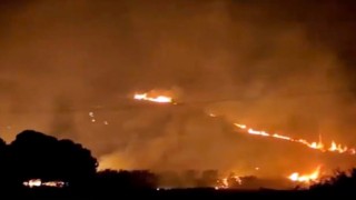 Söke'deki orman yangını kontrol altına alındı