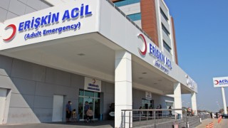 Ceviz çırparken ağaçtan düşen adam hayatını kaybetti