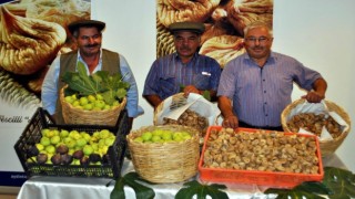 İncirin erkek ve dişi olmak üzere bakın kaç çeşidi var 