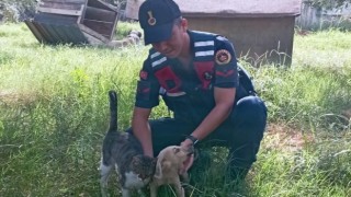 Jandarma can dostları unutmuyor 