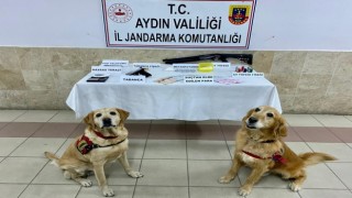 Nazilli'de uyuşturucu taciri, jandarmadan kaçamadı