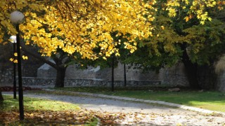 Sonbaharın eşsiz güzelliği