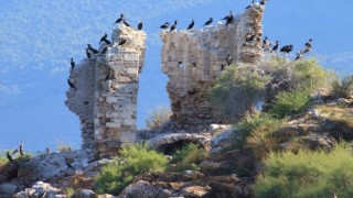 Binlerce yıllık geçmişi olan Aydın, tarihe ev sahipliği yapıyor