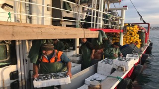 Didim’de su ürünleri denetimi yapıldı