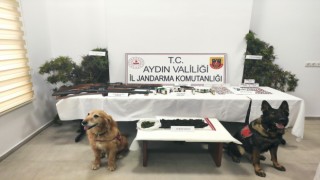 Jandarmanın hassas burunlu köpekleri uyuşturucuya geçit vermiyor