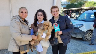 Mikroçip sırası doldu taştı