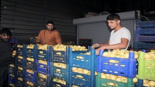 Pazarların en rağbet göreni limon oldu