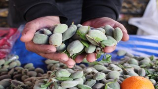 Çağla, kilosu 70 liradan tezgahlarda