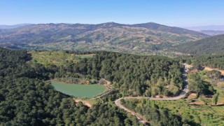 Burası Karadeniz değil Kuyucak