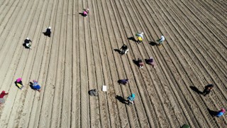 Çiftçilere destek ödemeleri start verdi