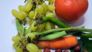 Kahverengi kokarcaya karşı uyarı verildi