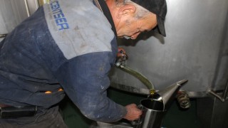 Zeytinyağı fabrikaları erken şartel kapattı