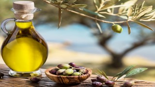 Aydın’ın sarı altını,İspanya’da güçleniyor