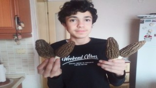 Kuzugöbeği yüzünü erken gösterdi