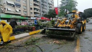 Aydın Büyükşehir'den anında müdahale