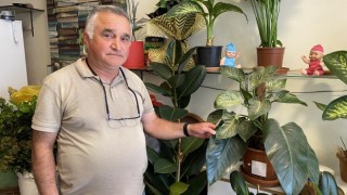 Çiçekçilerden yazlık bakım tavsiyesi