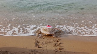 Mısır'a misafir 'Güzel İzmir'...