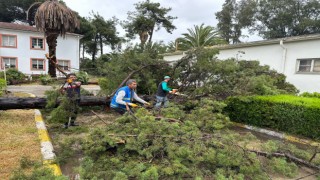 Nazilli Belediyesi vatandaşın yanında