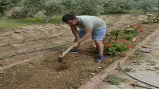 Sultanhisar’da fidanlar toprakla buluştu