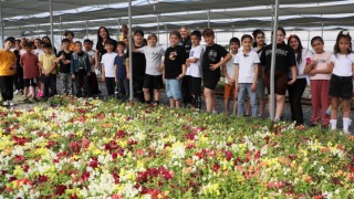 Aydın Büyükşehir'in fidanlığı öğrencileri misafir etti